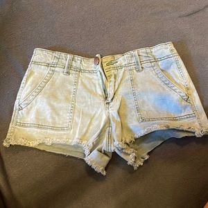 BKE Shorts Olive in Color